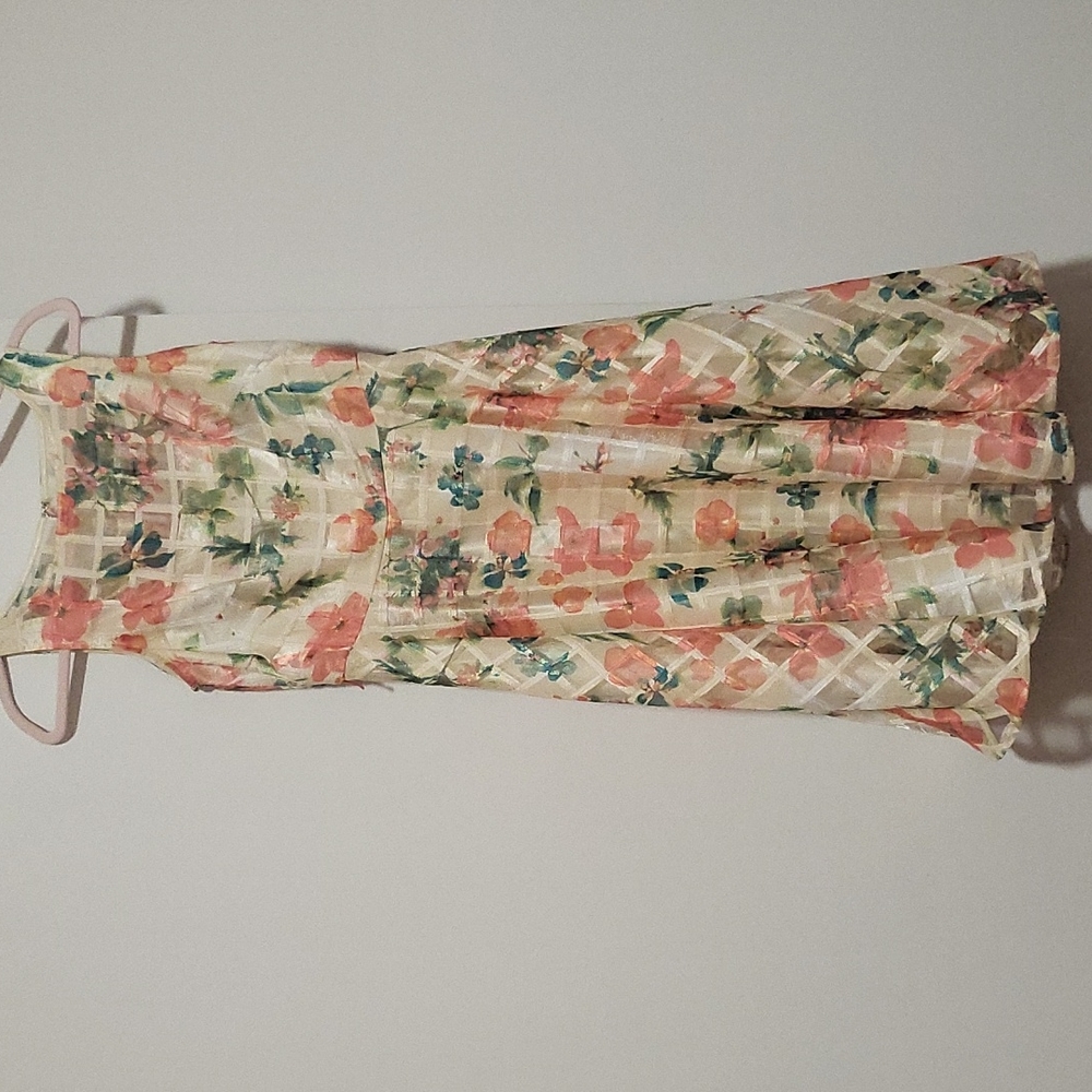 Danny and nicoles  dress